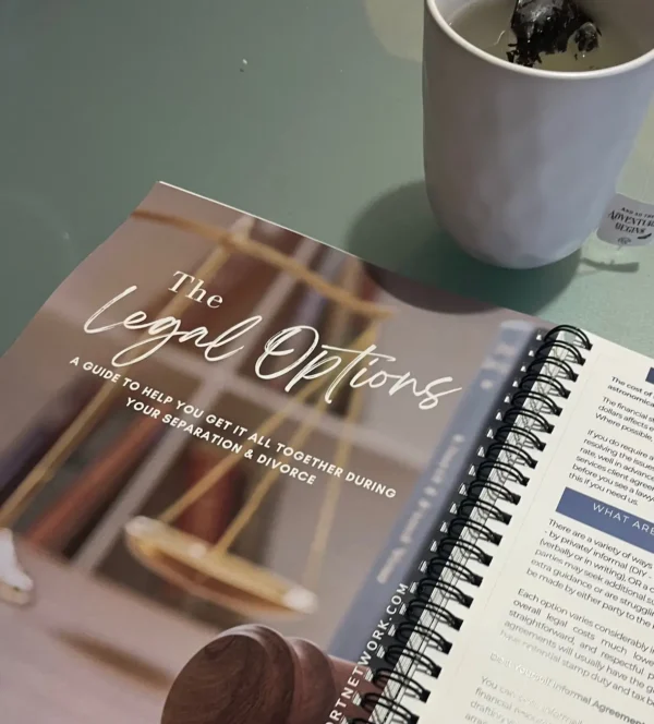 Divorce Planner Contents
