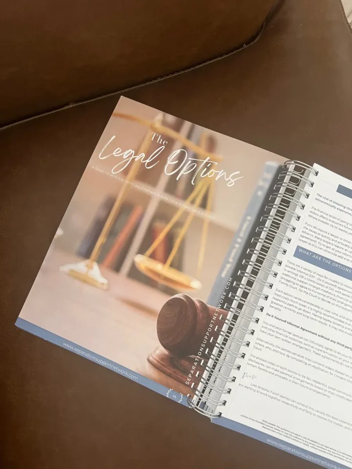 The divorce planner guide